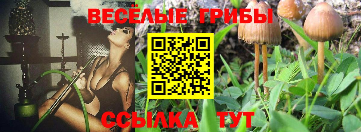 Псилоцибиновые грибы мухоморы  Галлюциногенные грибы GOLDEN TEACHER  Кандалакша  Вход с VPN 